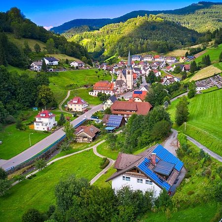 Steepleview House, Schwarzwaldblick Apartment - Spacious & Peaceful Bad Peterstal-Griesbach Eksteriør bilde