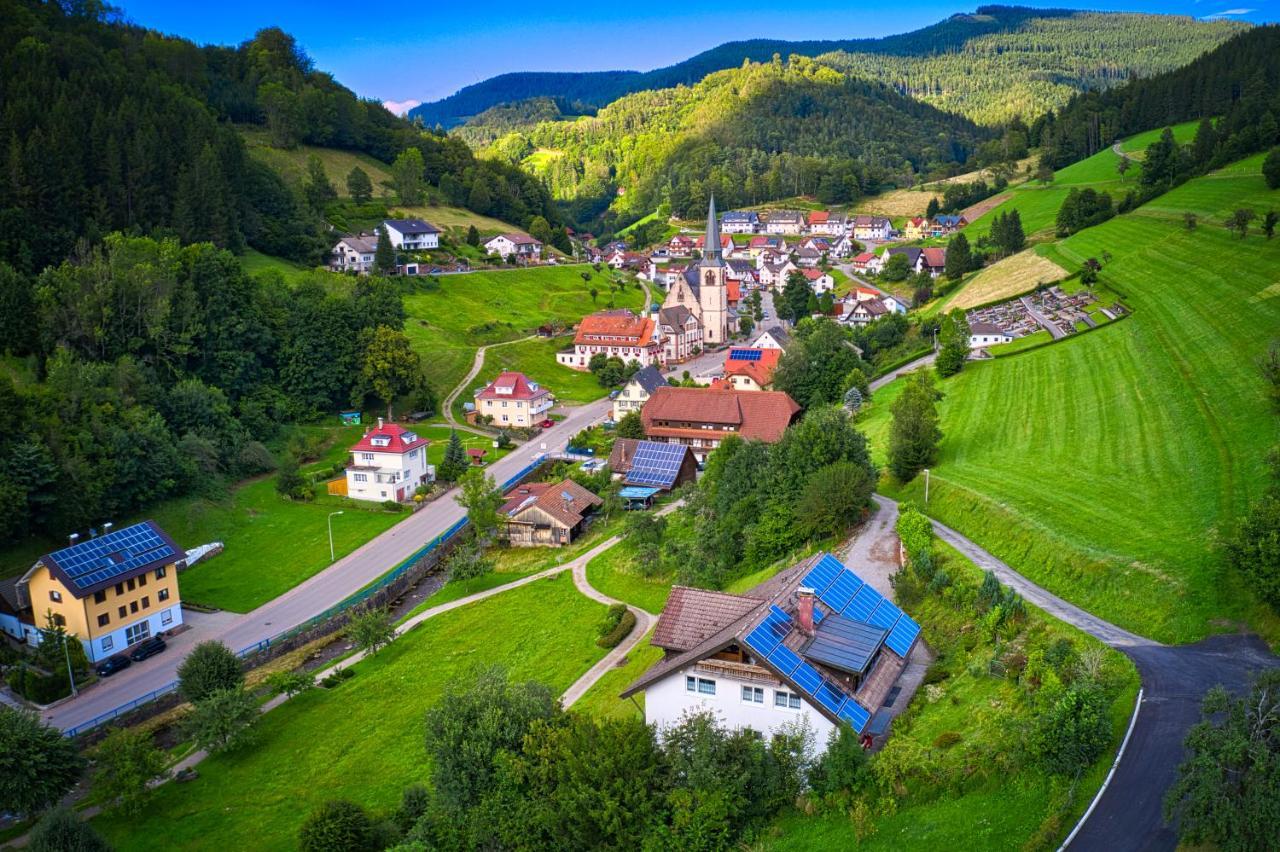 Steepleview House, Schwarzwaldblick Apartment - Spacious & Peaceful Bad Peterstal-Griesbach Eksteriør bilde