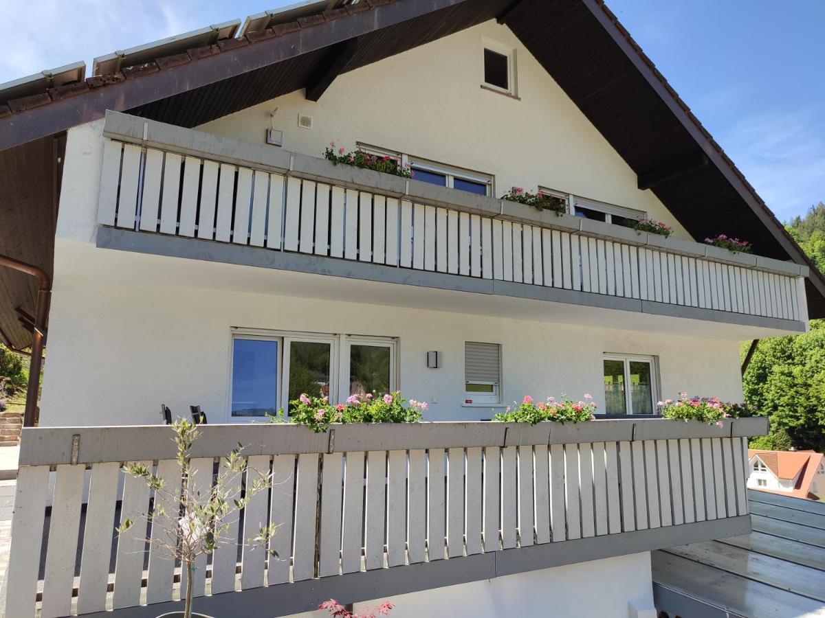 Steepleview House, Schwarzwaldblick Apartment - Spacious & Peaceful Bad Peterstal-Griesbach Eksteriør bilde